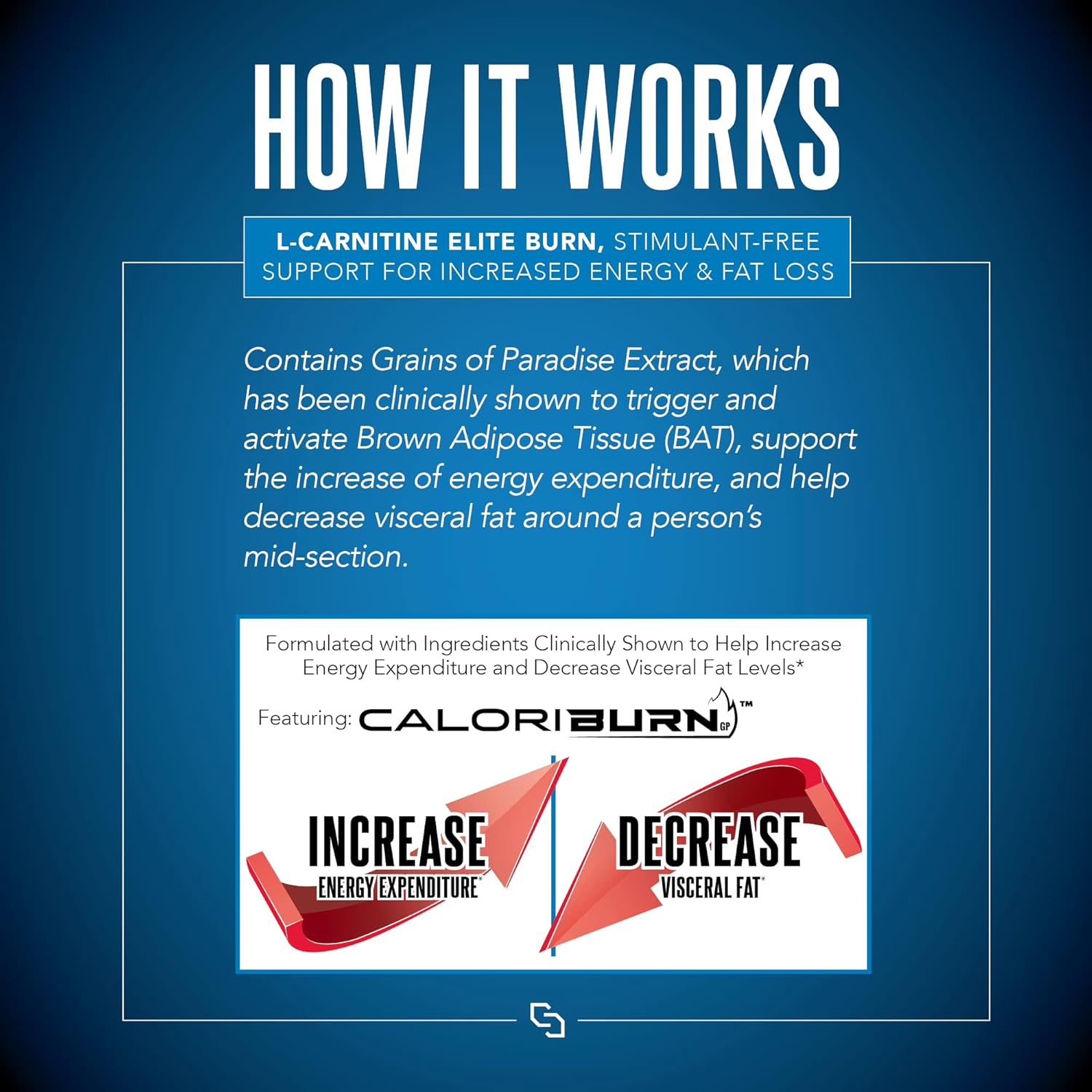 Siren Labs L-Carnitine Elite Burn Liquid Keto Fat Burner and Metabolism Activator - Fat Loss Support Keto Friendly Weight Loss Increase Energy-Stimulant Free - Lemon Lime 3000mg (32 Servings) - Image 6