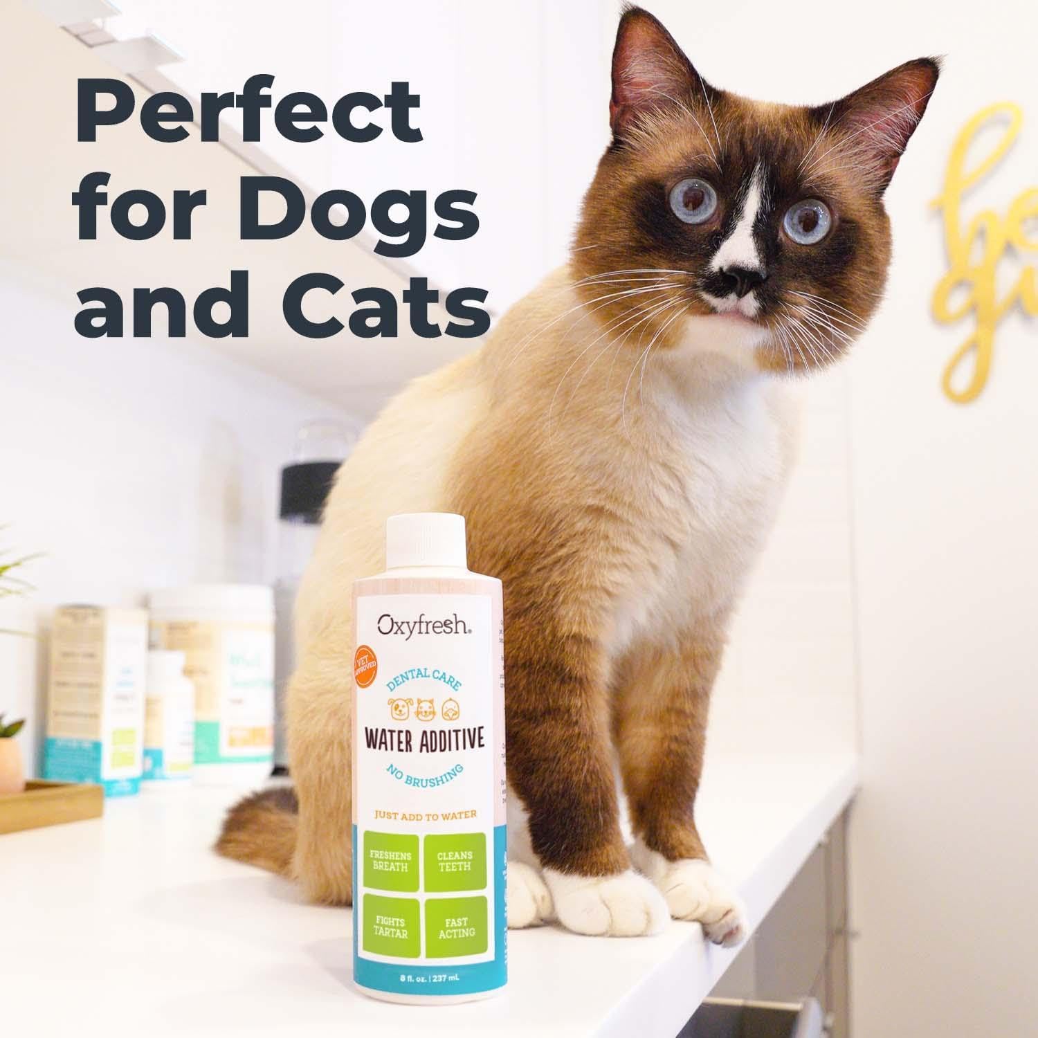 Oxyfresh Premium Pet Dental Care Solution Pet Water Additive: Best Way to Eliminate Bad Dog Breath and Cat Bad Breath - Fights Tartar & Plaque - So Easy, Just Add to Water! Vet Recommended 16 oz. - Image 6