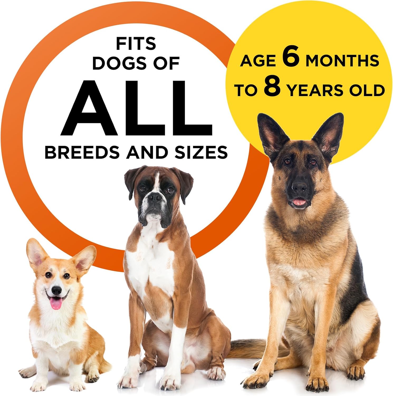 2024 Dog Bark Deterrent Device, Anti-Bark Device for Dog Training & Behavior Aid, No Need to Yell or Pat, Simply Point at The Dog Within 35ft, Ultra-Bright LED Flashlight | Bark Collar Alternative - Image 10