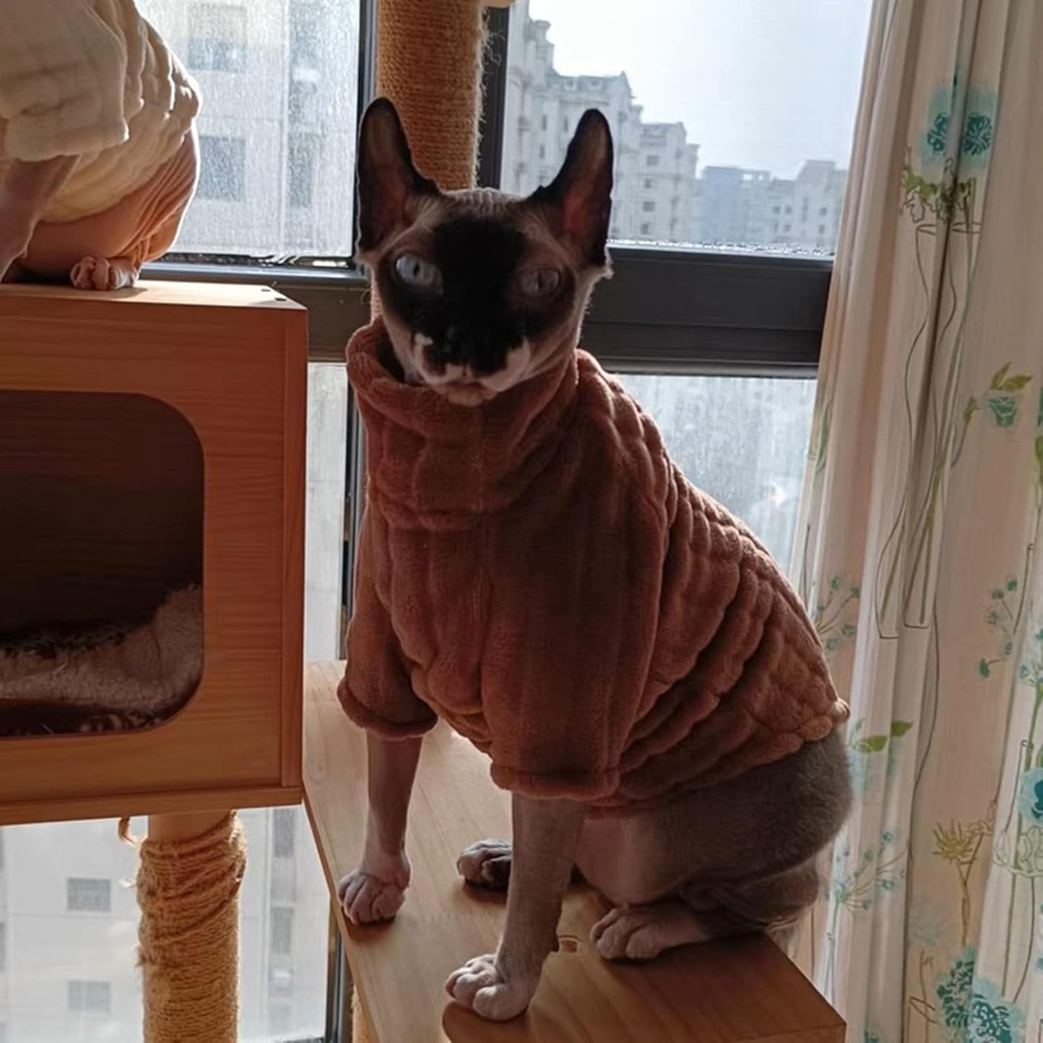 Turtleneck Sweater for Sphynx Cat Soft Coral Fleece Cat Clothes Thick Winter Warm Outfit Coat for Hairless Cats and Small Dogs Apparel with Sleeves (M (5-7 lbs), Brown) - Image 7