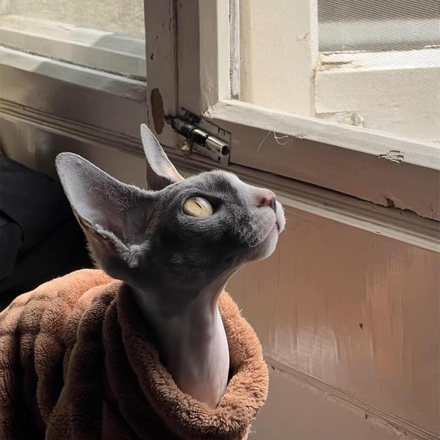 Turtleneck Sweater for Sphynx Cat Soft Coral Fleece Cat Clothes Thick Winter Warm Outfit Coat for Hairless Cats and Small Dogs Apparel with Sleeves (M (5-7 lbs), Brown) - Image 6