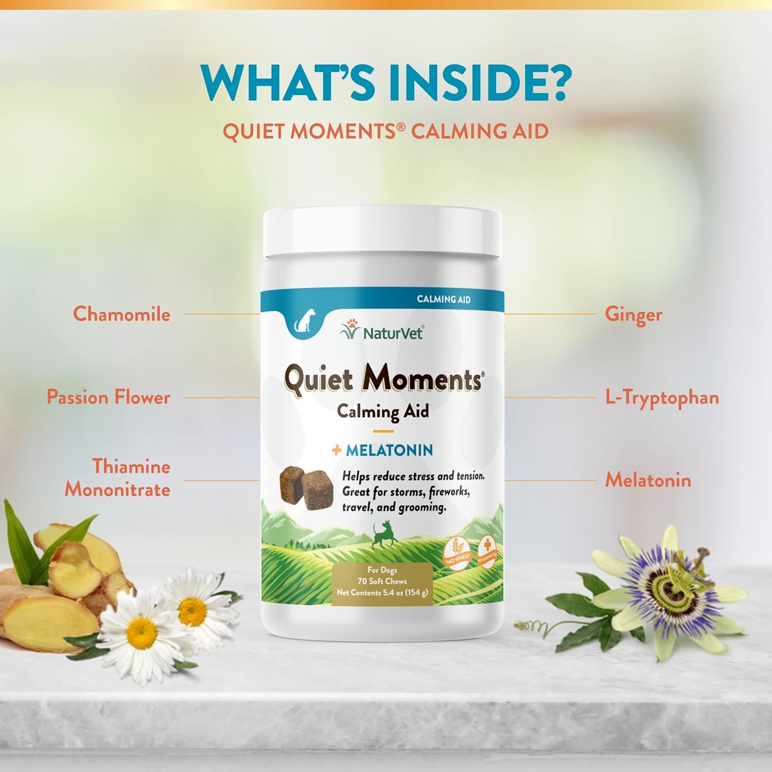 NaturVet Quiet Moments Calming Aid Dog Supplement – Helps Promote Relaxation, Reduce Stress, Storm Anxiety, Fireworks, Motion Sickness for Dogs – Tasty Pet Soft Chews with Melatonin – 70 Ct. - Image 6