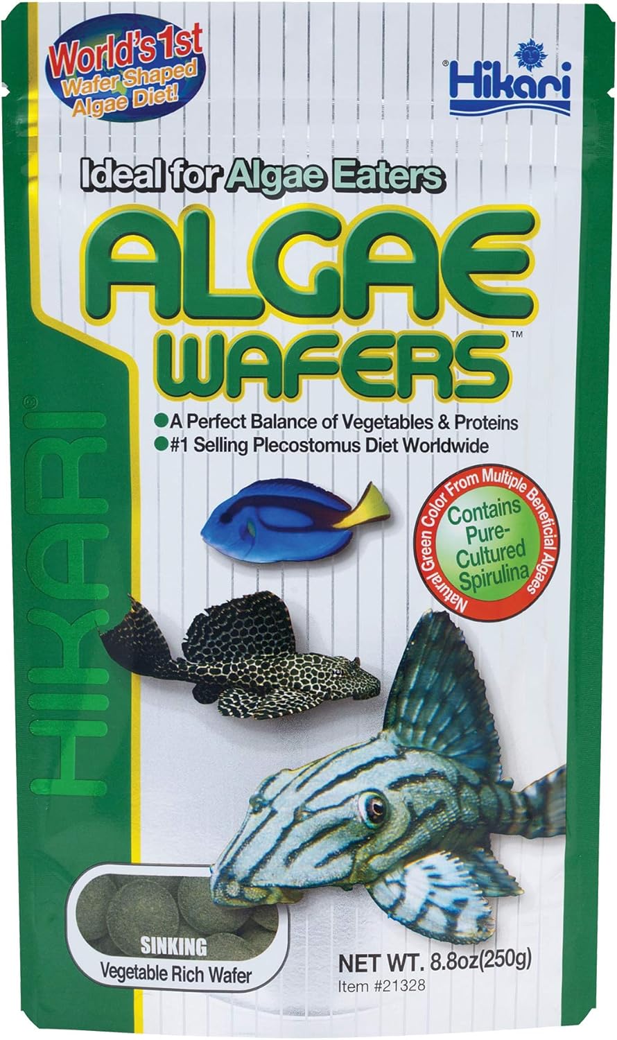 Hikari Usa Inc AHK21328 tropical Algae Wafer 8.8-Ounce - Image 2