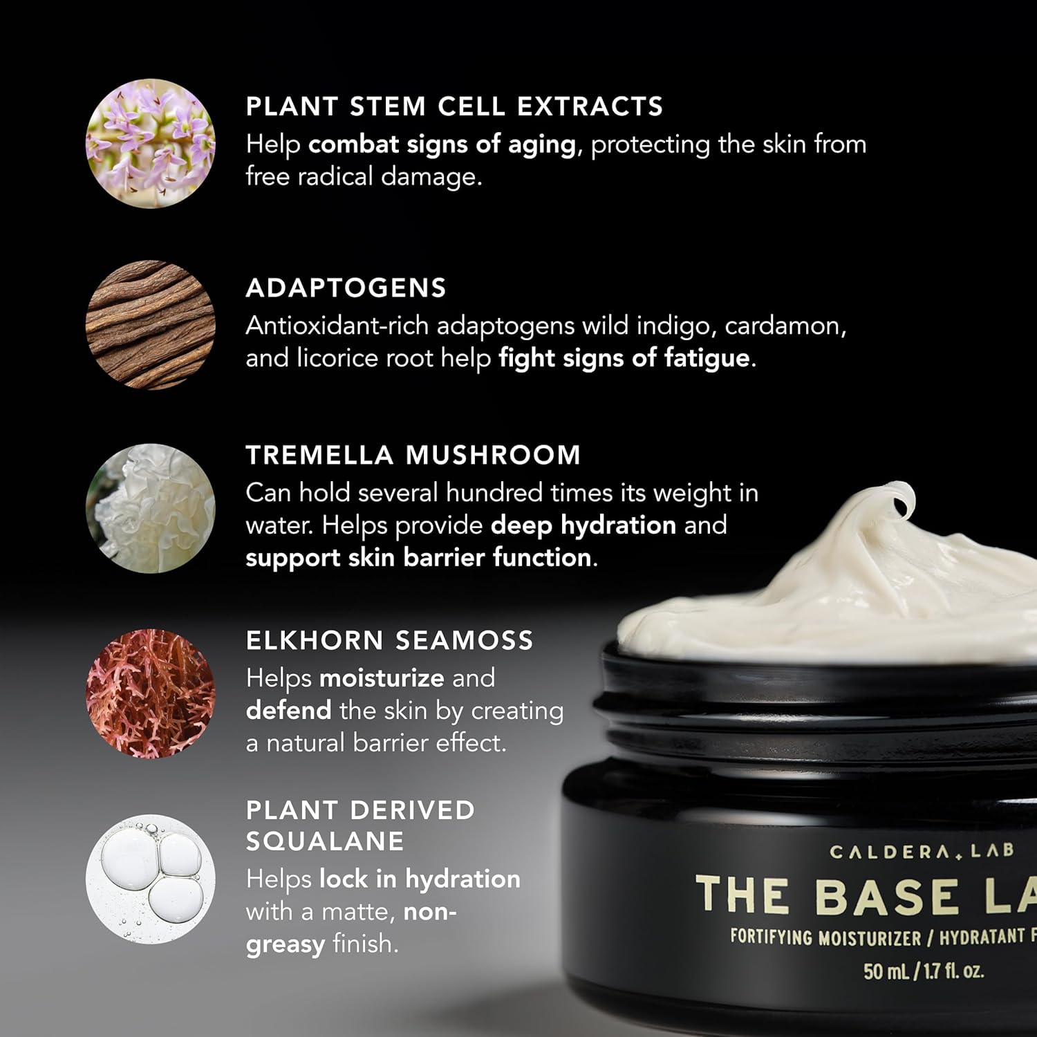 Caldera + Lab The Base Layer | Men's Organic Face Cream Moisturizer for Dry, Sensitive, & Normal Skin – Vegan, Natural & Antioxidant Packed Facial Skincare - Image 5