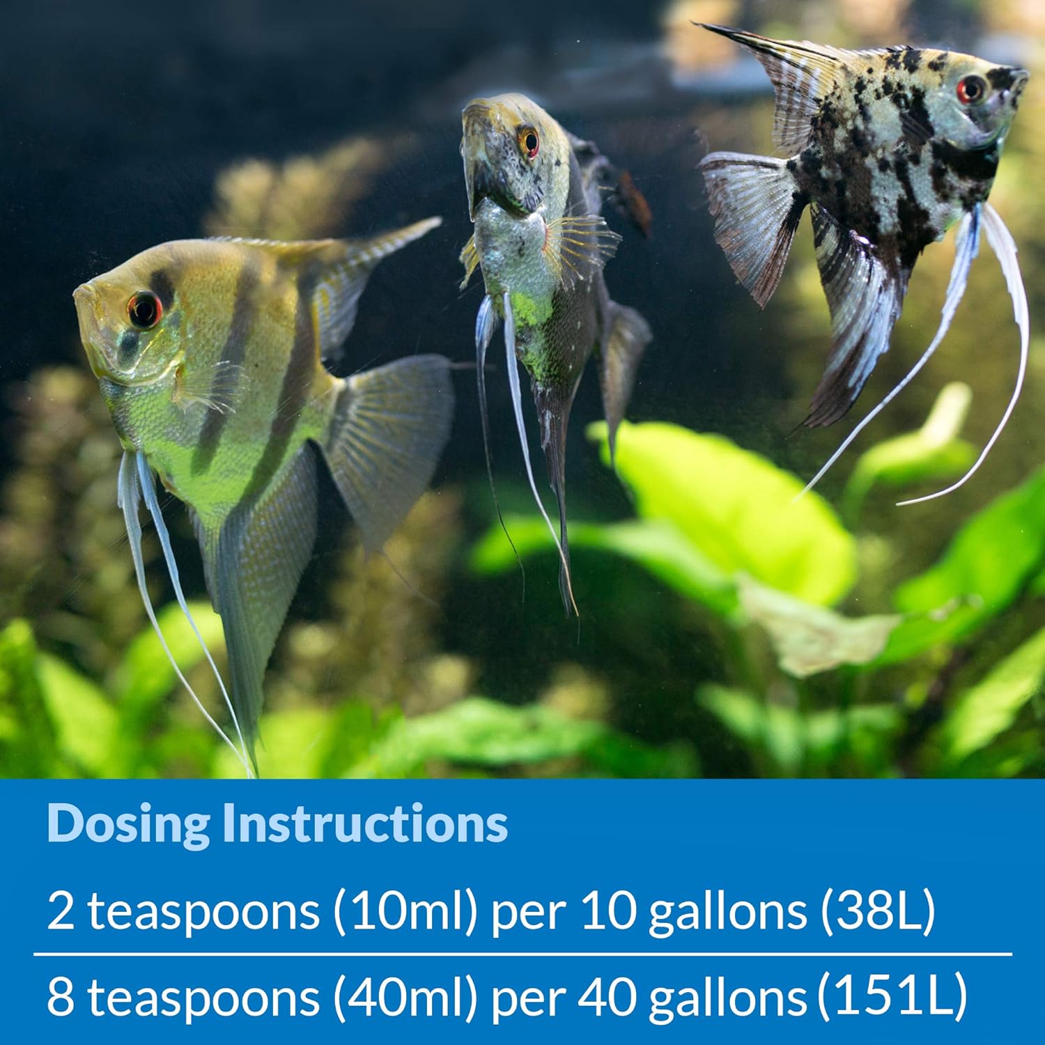 API QUICK START Freshwater and Saltwater Aquarium Nitrifying Bacteria 16-Ounce Bottle - Image 7