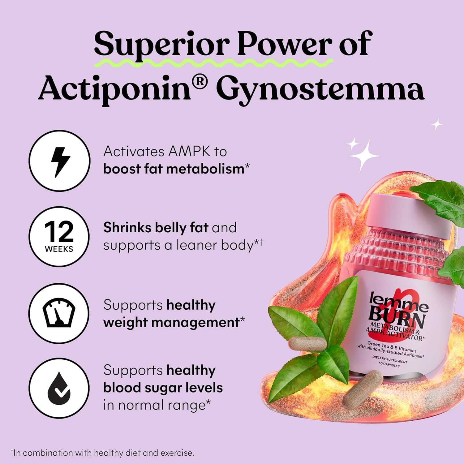 Lemme Burn - Metabolism, Belly Fat Burning + AMPK Activating Supplement for Men & Women w/Clinically Studied Actiponin Gynostemma, Green Tea Extract, Vitamins B6 & B12 - Gluten Free, 60 Count - Image 5