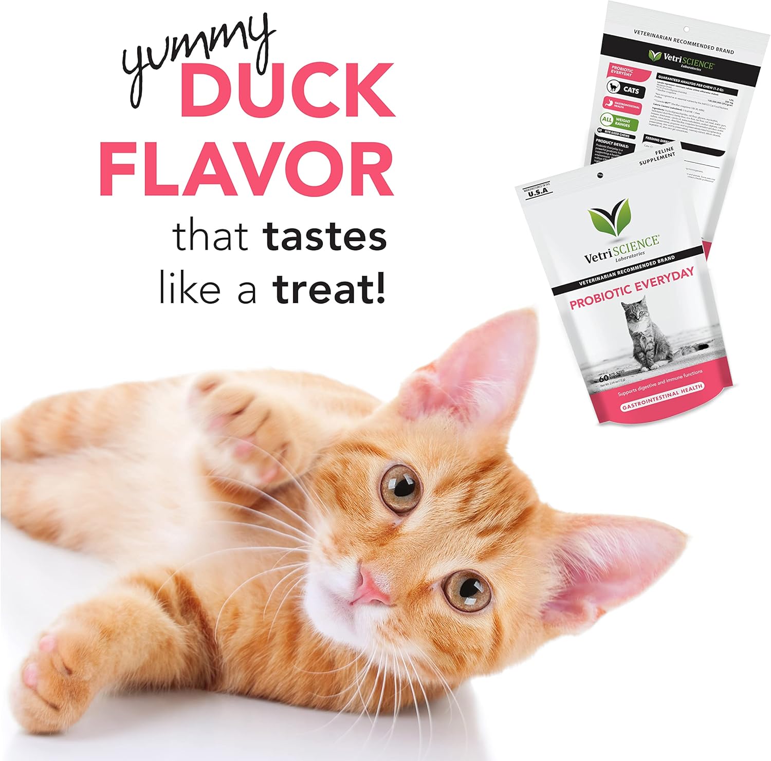 VetriScience Extra Strength Gut Health Probiotics for Cats, Digestion Support, Gas & Diarrhea, Itchy Dogs, Cough, Immune Support, 120 Million CFU per Chew, 60 Chews - Image 4