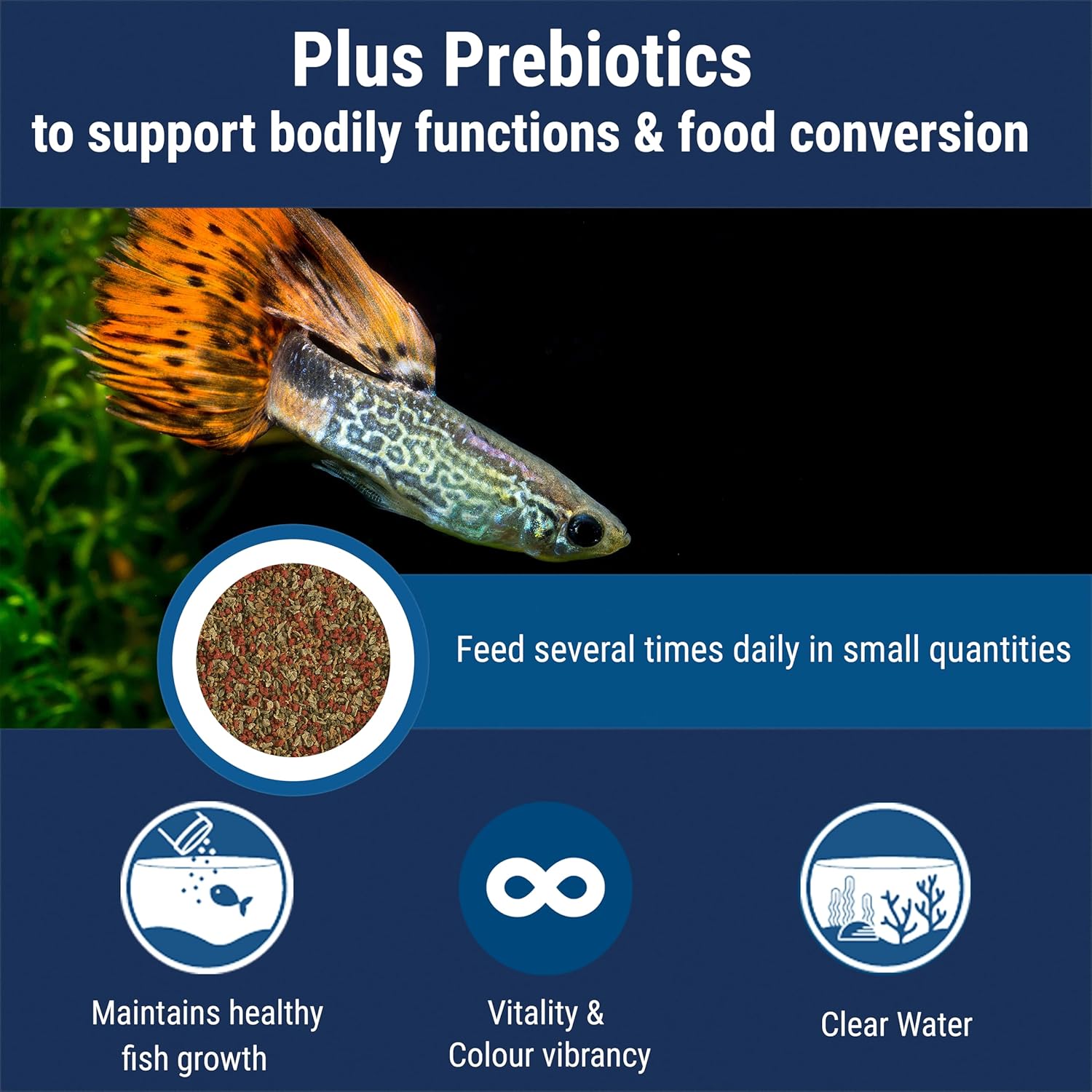 TetraMin Nutritionally Balanced Tropical Flake Food for Tropical Fish, 7.06 oz (pack of 1) - Image 4