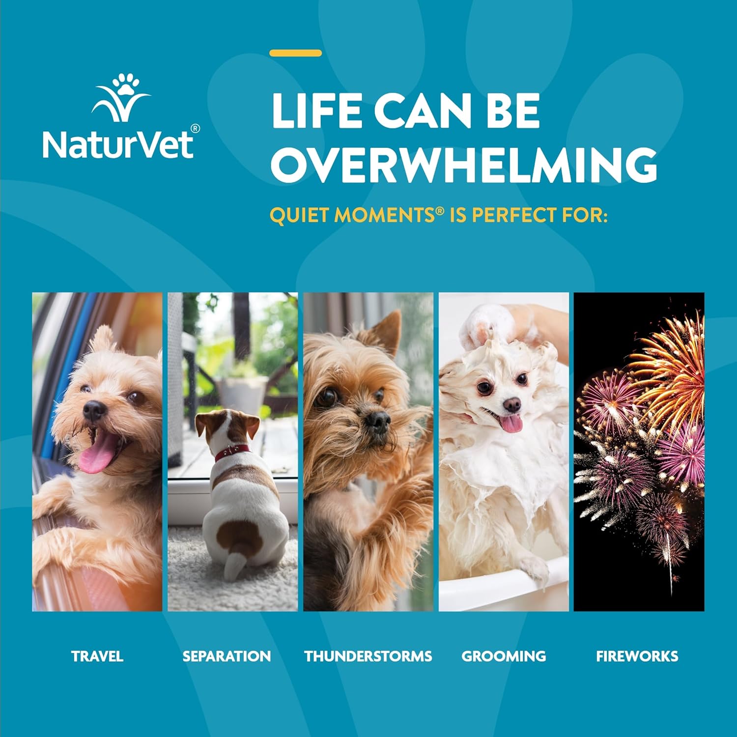 NaturVet Quiet Moments Calming Aid Dog Supplement – Helps Promote Relaxation, Reduce Stress, Storm Anxiety, Fireworks, Motion Sickness for Dogs – Tasty Pet Soft Chews with Melatonin – 70 Ct. - Image 5