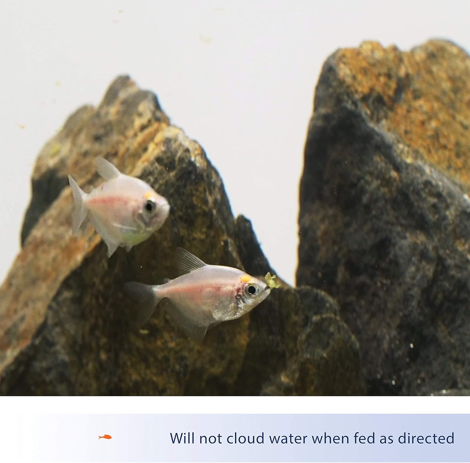 Aqueon Tropical Fish Food Flakes, 7.12 Ounces - Image 4