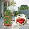 Amazing Creation Stackable Planter, Terracotta 5-Tier Vertical Garden Planter, Grow Your Own Vertical Oasis of Vegetables and Succulents - Image 9
